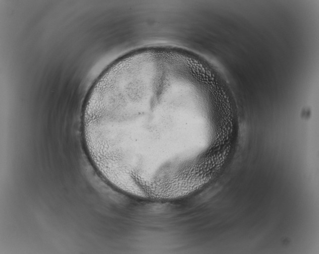 X0000113201279200910081242