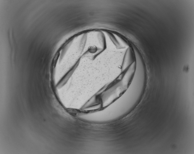 X0000113201280200910081242