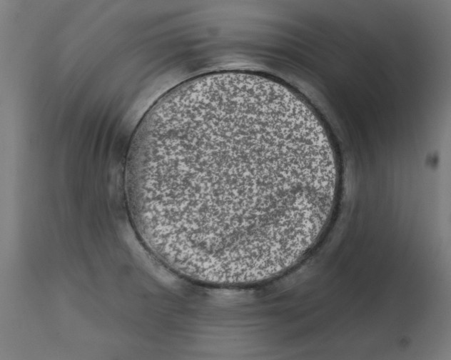 X0000113201281200910081242