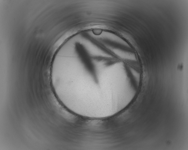 X0000113201282200910081242