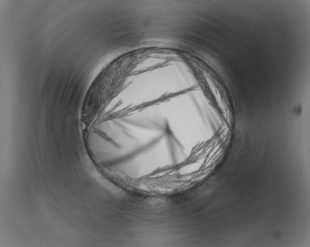 X0000113201283200910081242