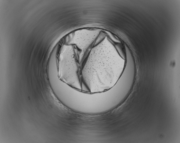 X0000113201284200910081242