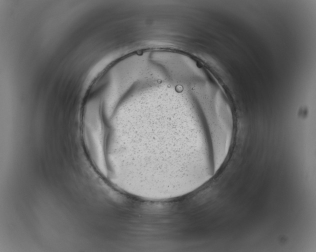 X0000113201286200910081242