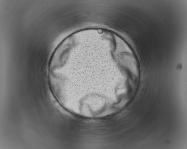 X0000113201287200910081242