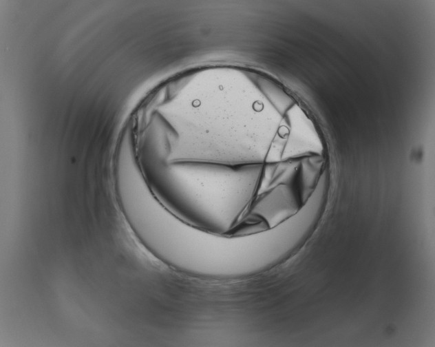 X0000113201288200910081242