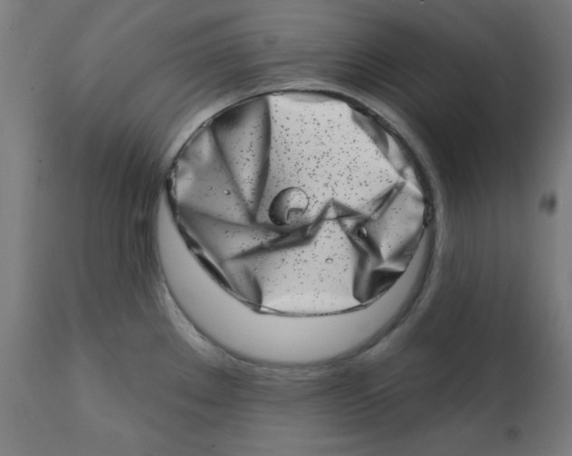 X0000113201289200910081242