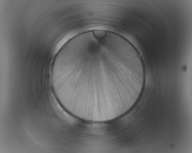 X0000113201290200910081242