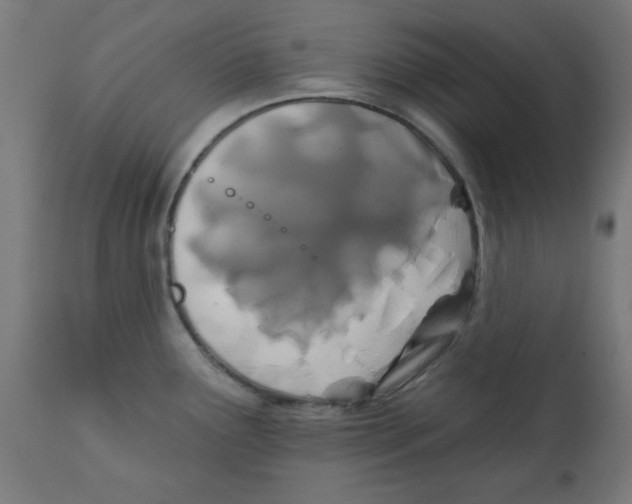 X0000113201291200910081242