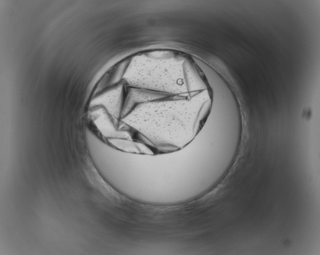 X0000113201292200910081242