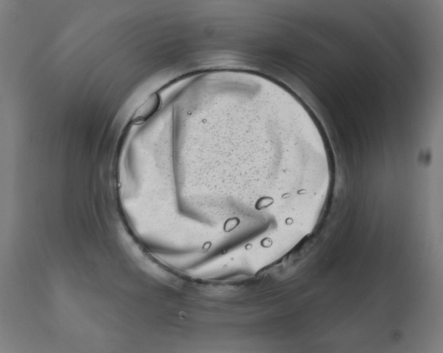 X0000113201293200910081242