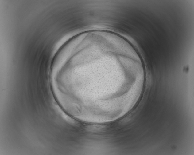 X0000113201294200910081242