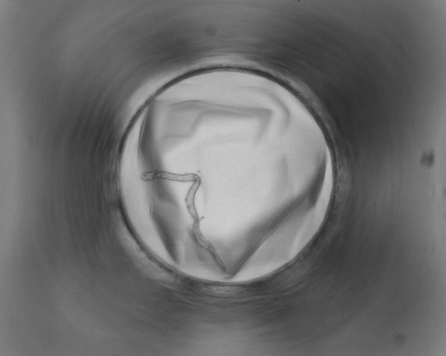 X0000113201295200910081242