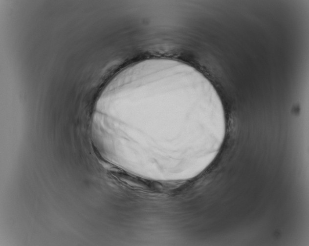 X0000113201297200910081241