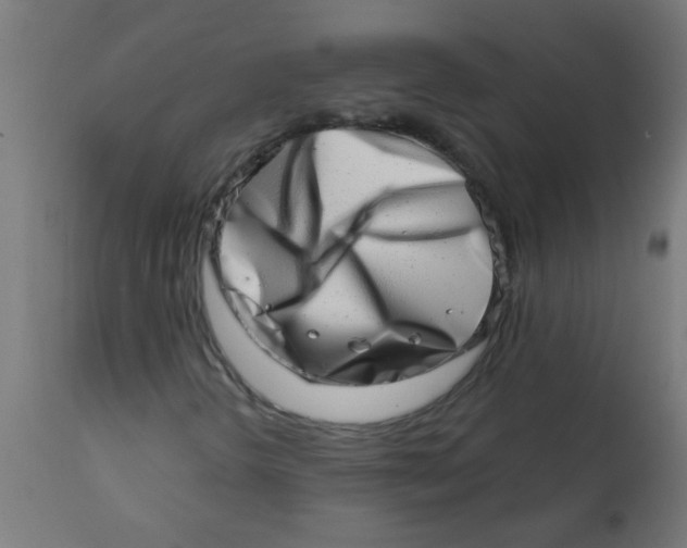 X0000113201298200910081241