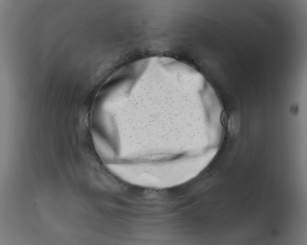 X0000113201299200910081241