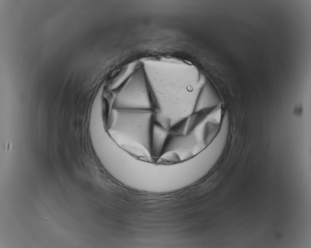 X0000113201300200910081241