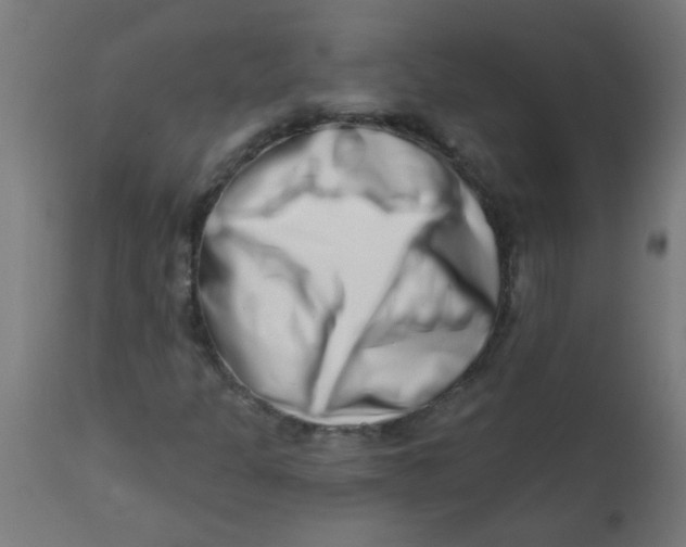 X0000113201301200910081241