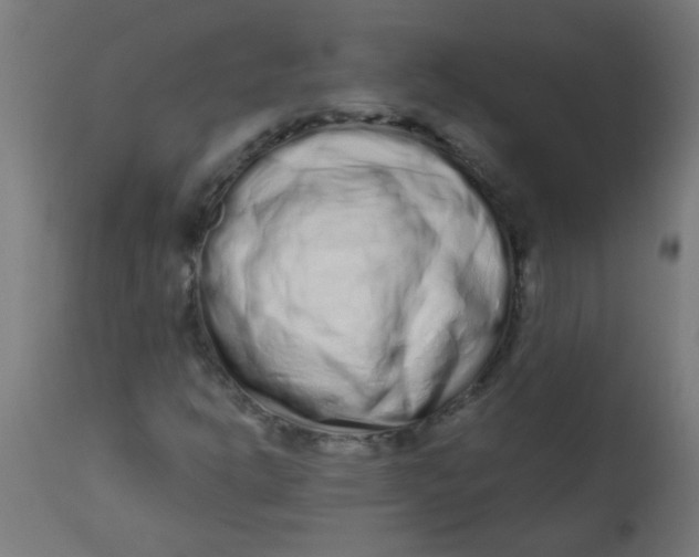 X0000113201302200910081241