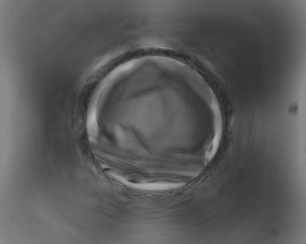 X0000113201303200910081241