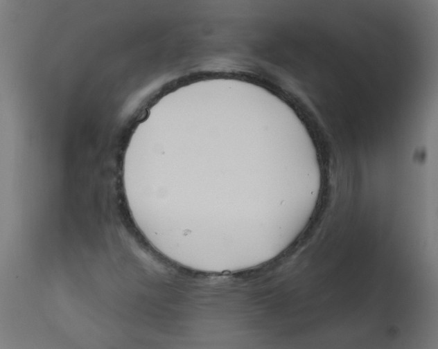 X0000113201304200910081241