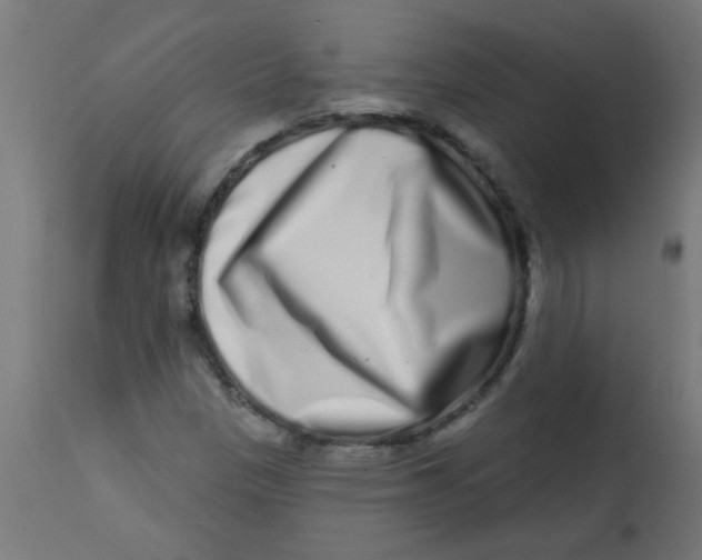 X0000113201305200910081242