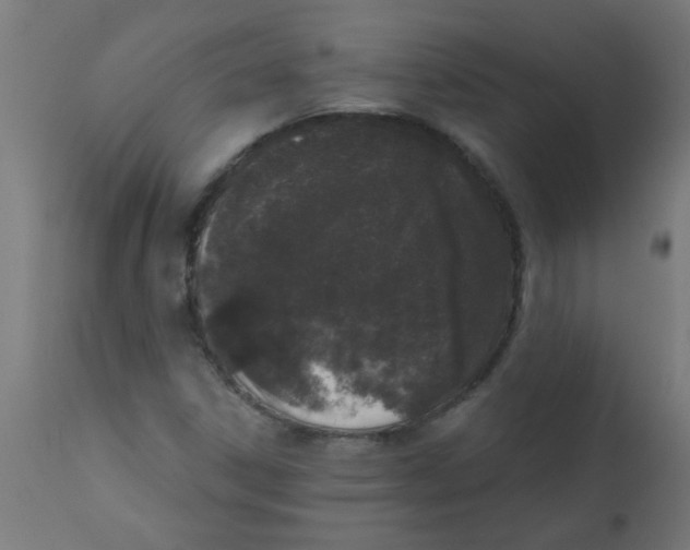 X0000113201306200910081242