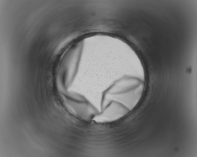 X0000113201307200910081242