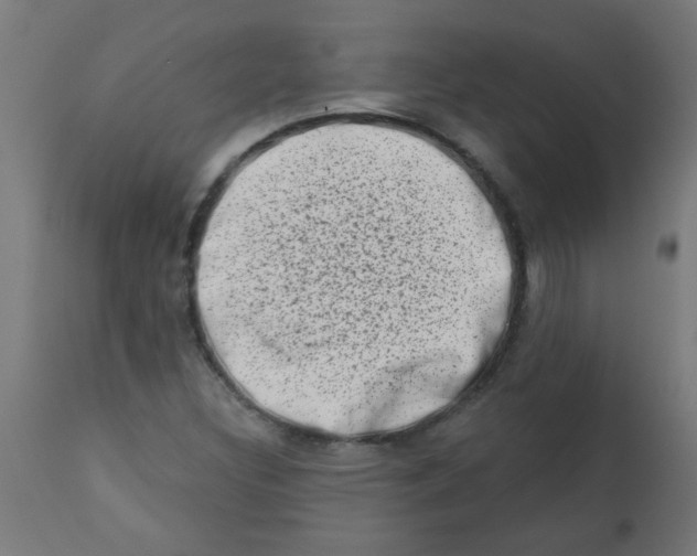 X0000113201308200910081242