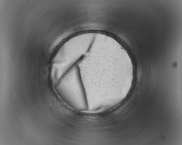 X0000113201309200910081242