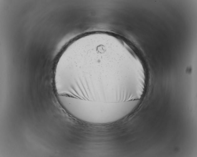 X0000113201312200910081242