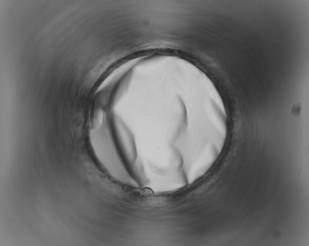 X0000113201313200910081242