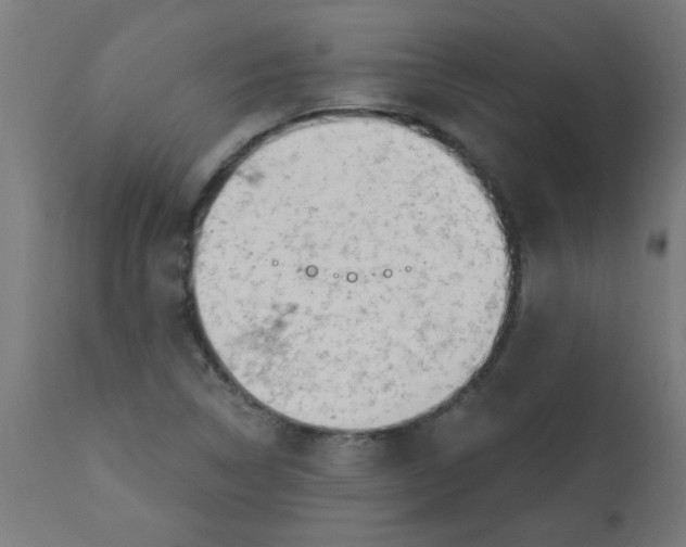 X0000113201314200910081242