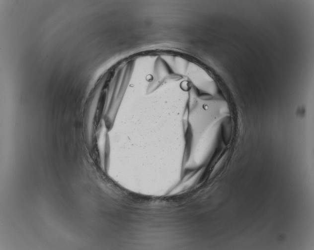 X0000113201316200910081242