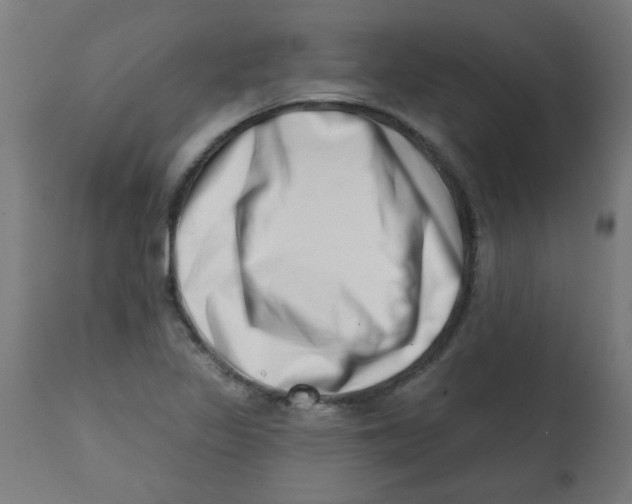 X0000113201317200910081242