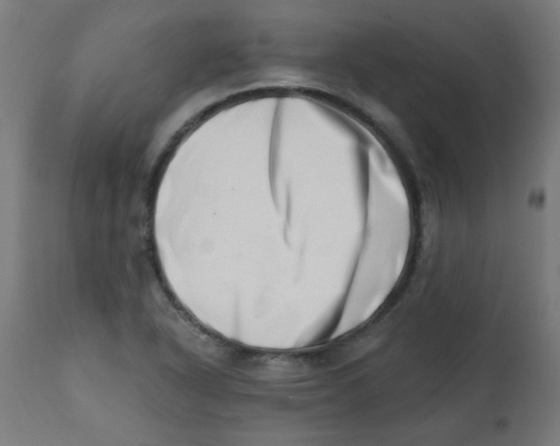 X0000113201318200910081242