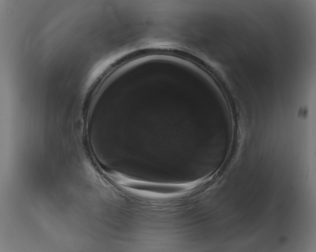 X0000113201319200910081242