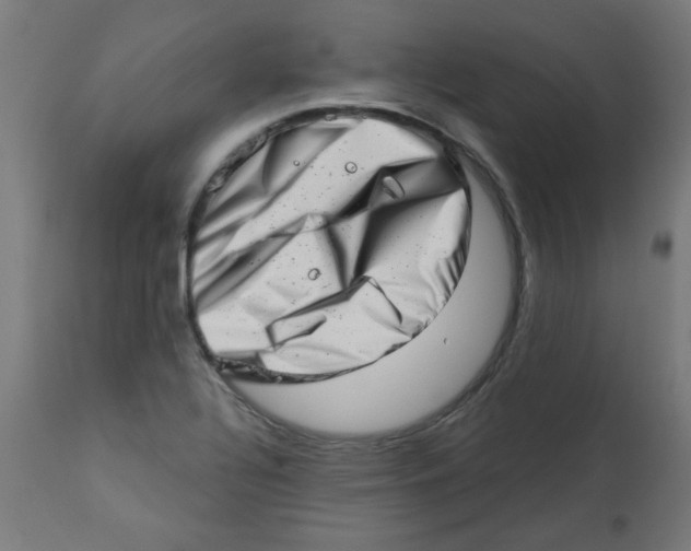 X0000113201320200910081242