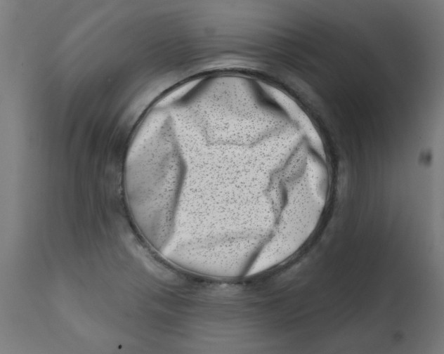 X0000113201321200910081242