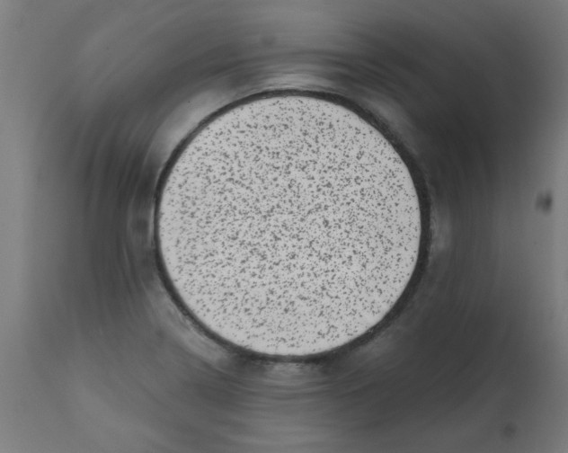 X0000113201322200910081242