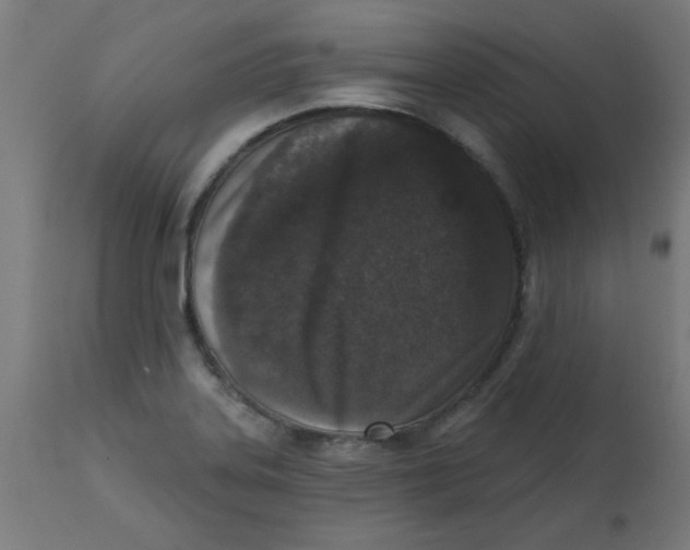 X0000113201323200910081242