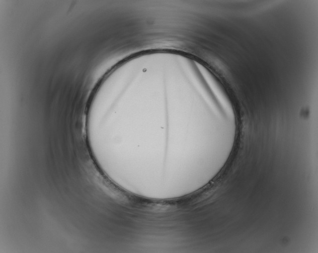 X0000113201324200910081242