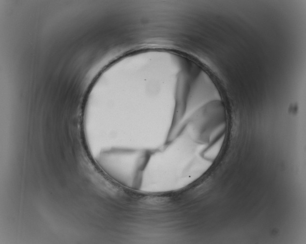 X0000113201325200910081242