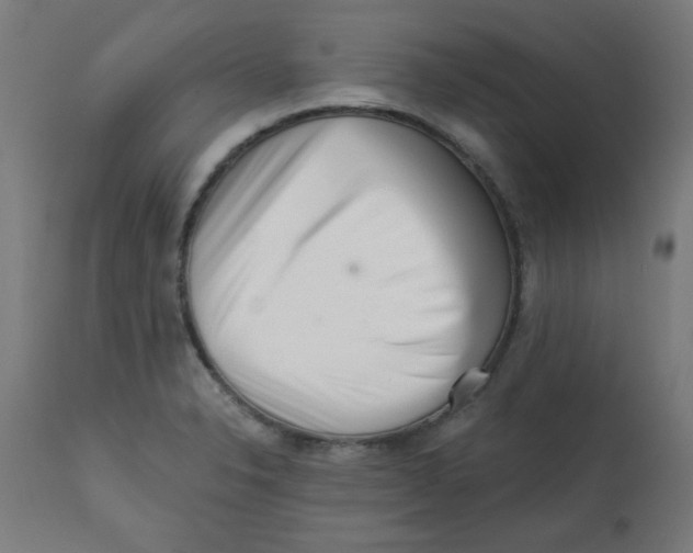 X0000113201326200910081242