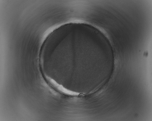 X0000113201327200910081242