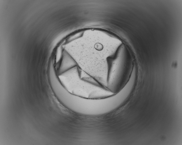 X0000113201328200910081242