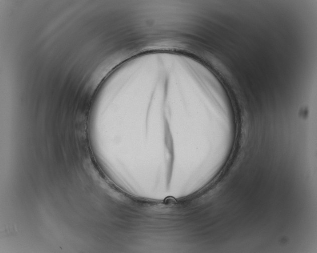 X0000113201329200910081242