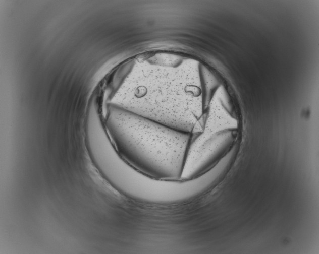 X0000113201330200910081242