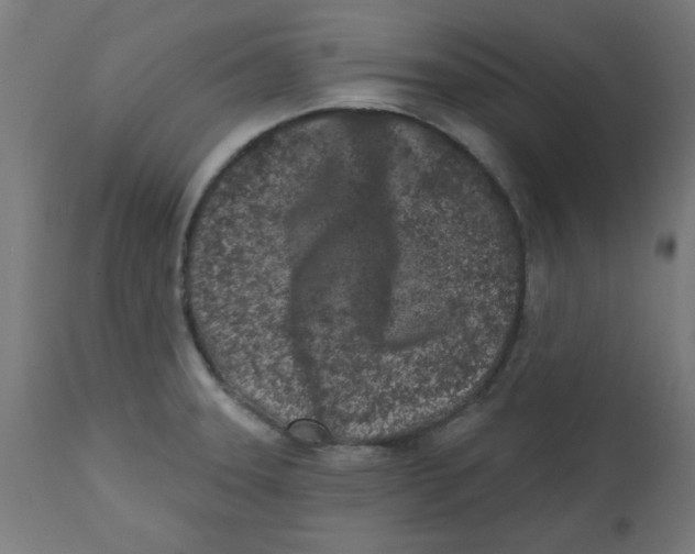 X0000113201331200910081242