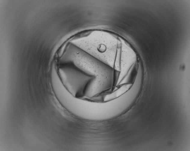 X0000113201332200910081242