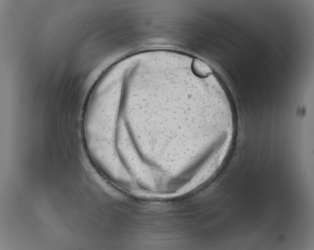 X0000113201333200910081242